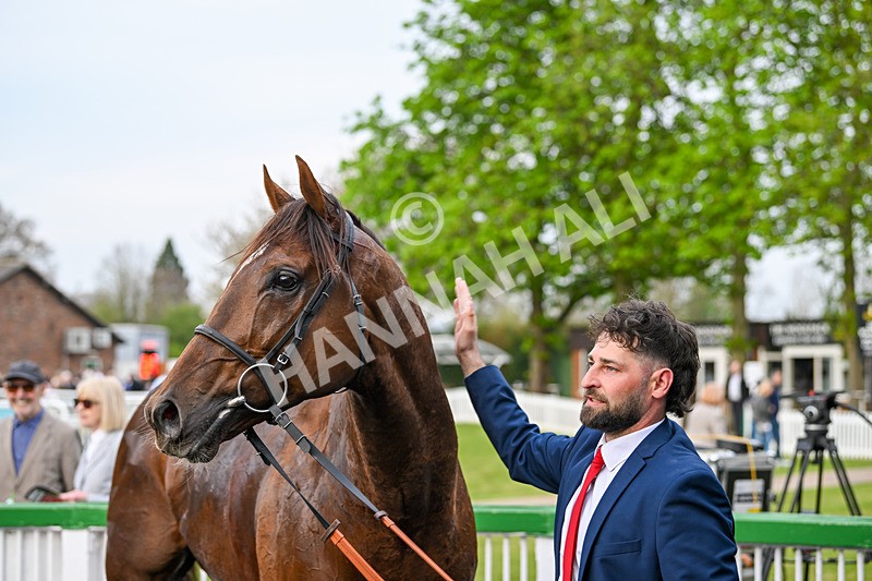 120425-Race 5-Majestic Warrior-1406 - Race 5