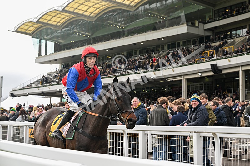 240126-Race 3-Donnacha-6531 - Race 3
