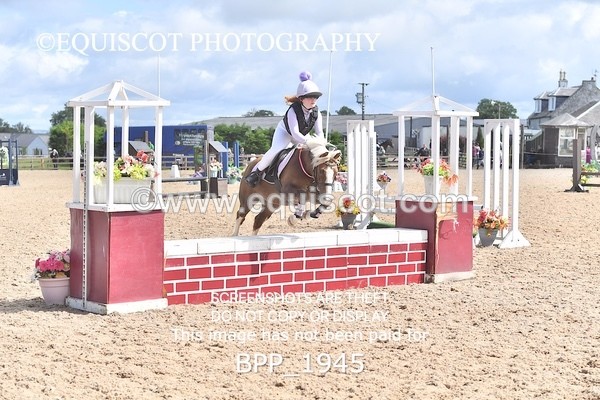 BPP_1945 - DERBY CLASS 5 - 60CM