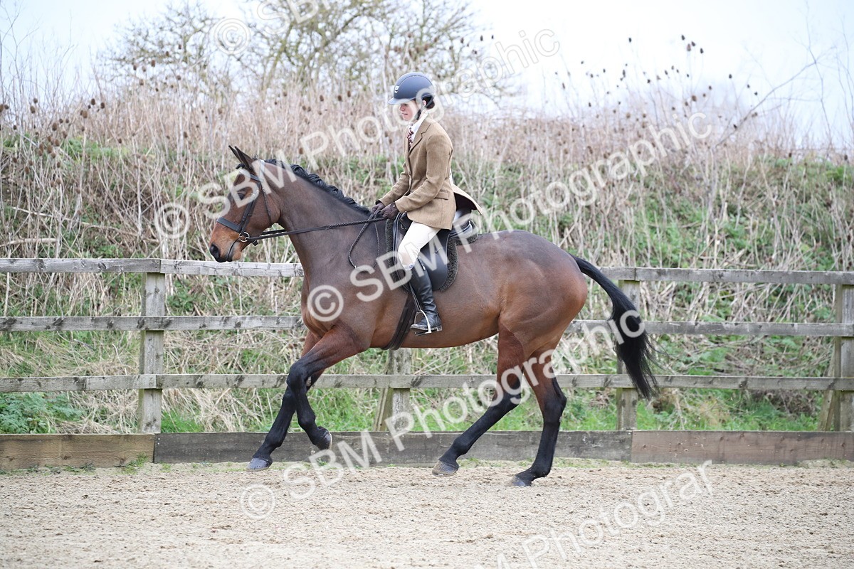 SBM_004753 - Class 5-9 - NPS In Hand-Show Hunter-Intermediate Ridden Inc Ridden Championship
