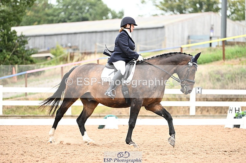 240815A-132823-01530 - 205-Donna.Boyd-Vagebond.vd.Withoeve.Z