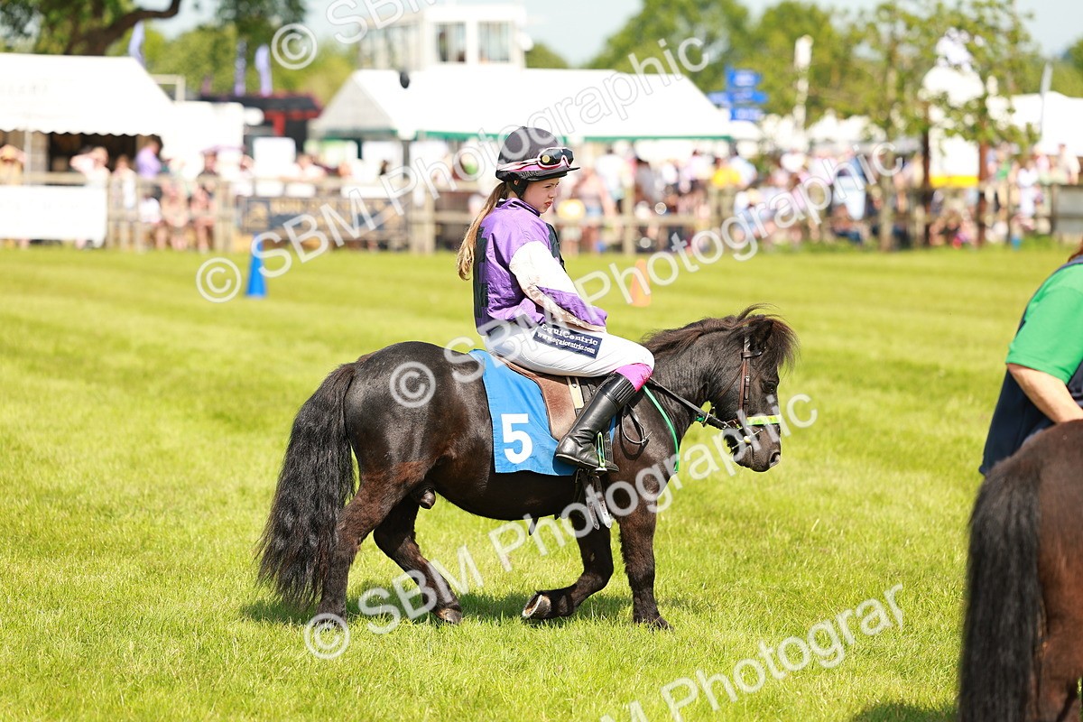 SBM_04339 - Shetland Grand National