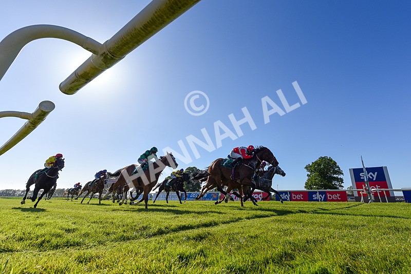 170525-Race 8-So Grateful-3336 - Race 8