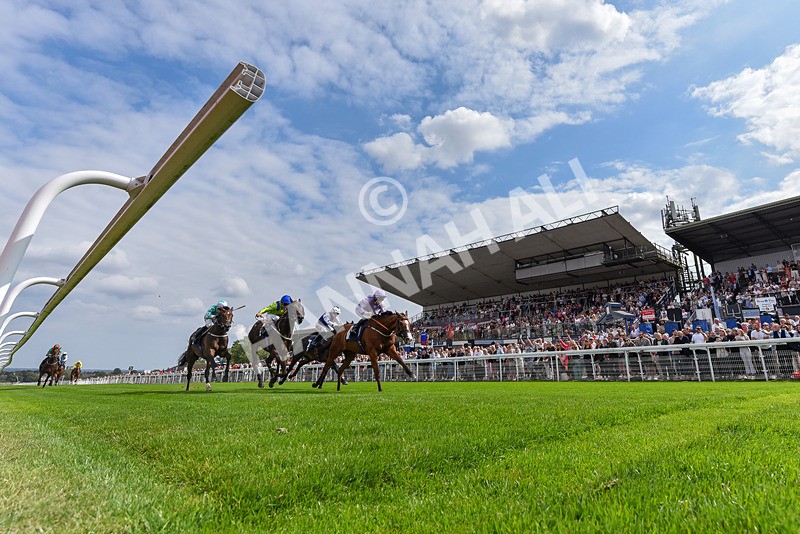 240825-Race 1-Light Speed-0121 - Race 1