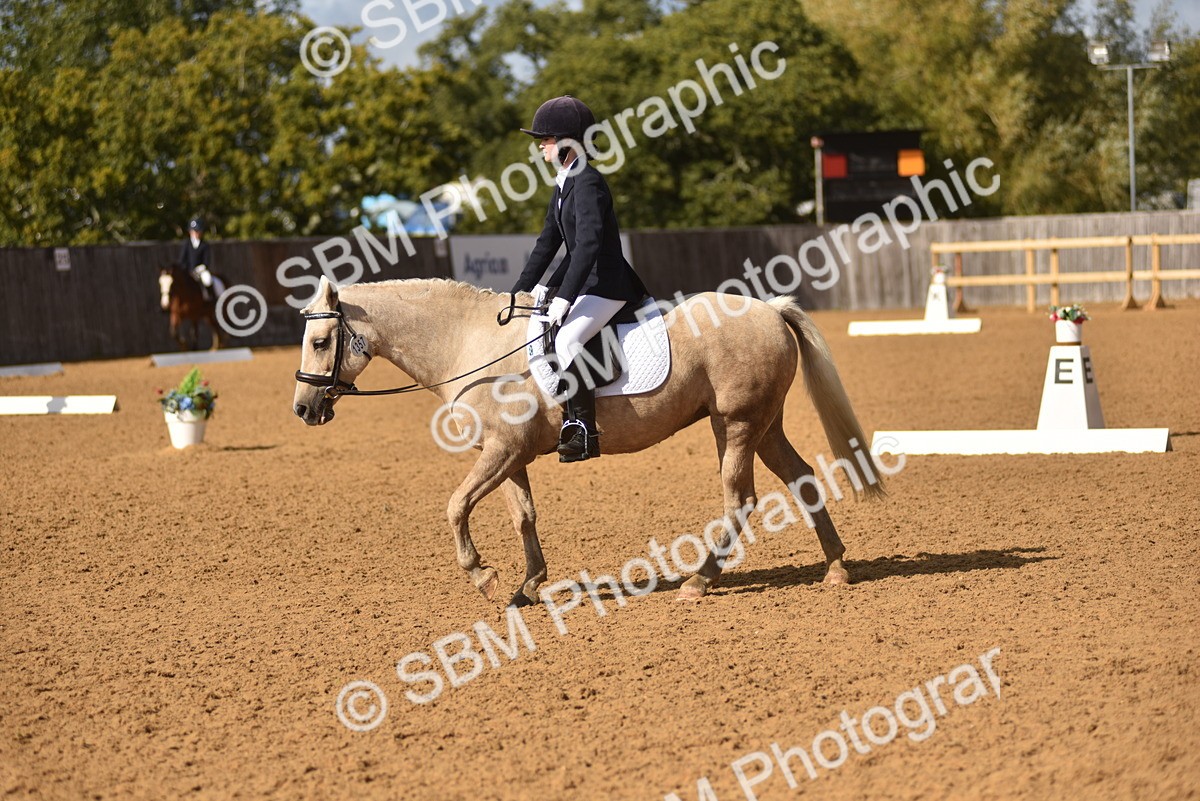 SBM_48779 - D22 - Junior Championship Intro 3