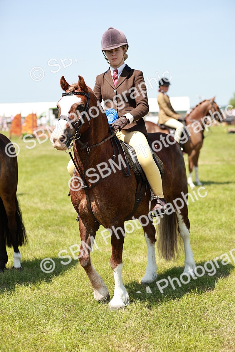 SBM_15718 - Class 108-109 - BSPS LIHS Open Gradle & Nursery Stakes