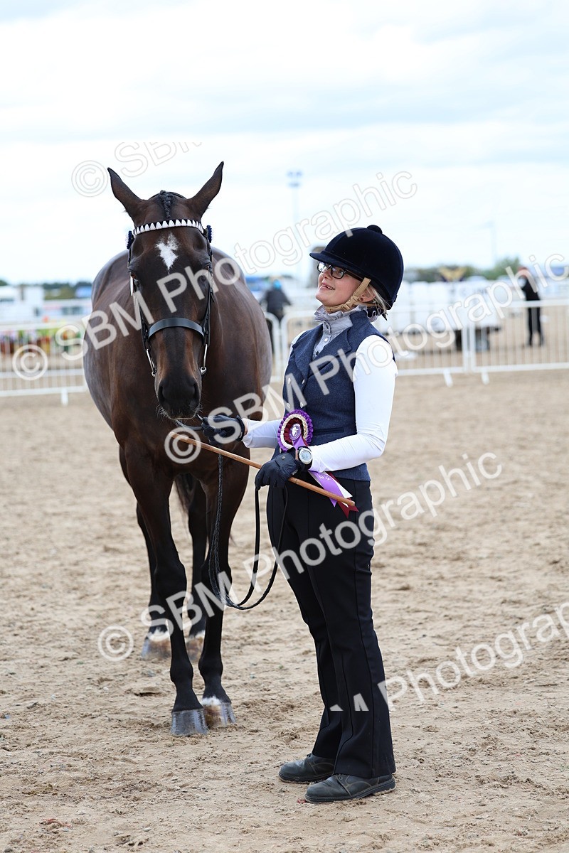 SBM_05802 - Class 28 - IH Veteran Horse