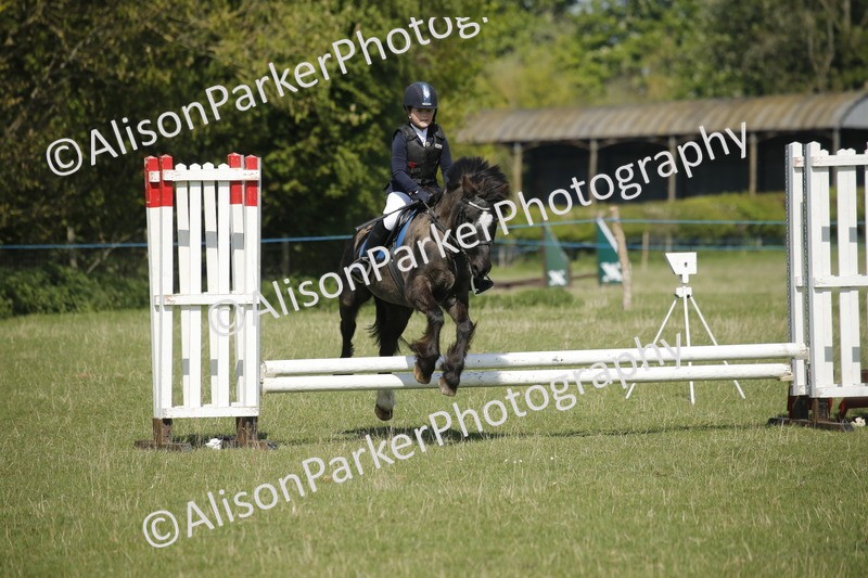 20250427-2014 - Class 13 - Novice Jumping 60cm