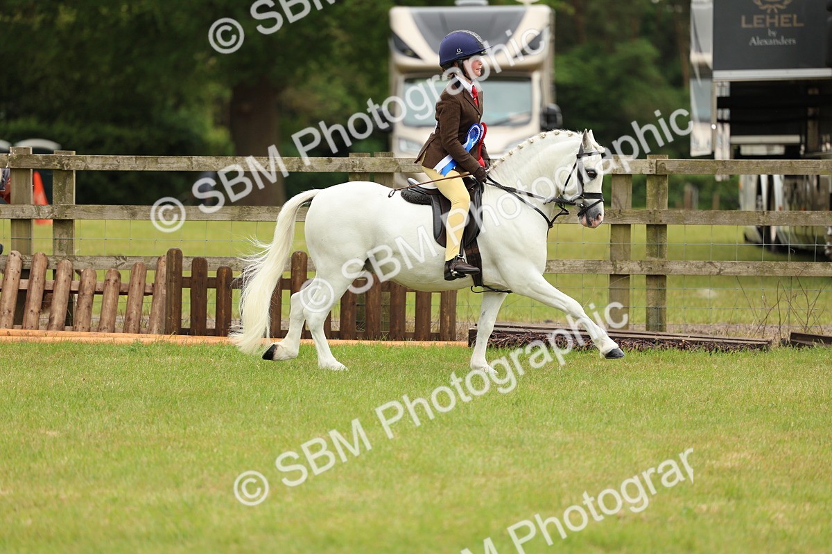 SBM_10455 - Class 44-45 - LIHS BSPS Open Nursery and Cradle Stakes