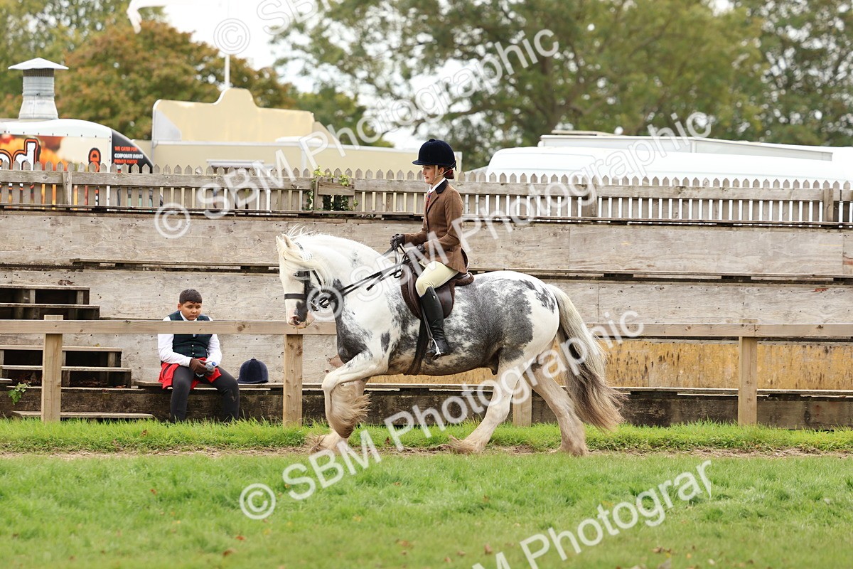 SBM_64478 - S58 - Coloured Pony Ridden