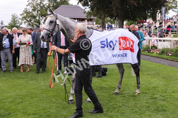 yr17082022r5-65 - Race 5 4.10pm Sky Bet Stayers Stakes