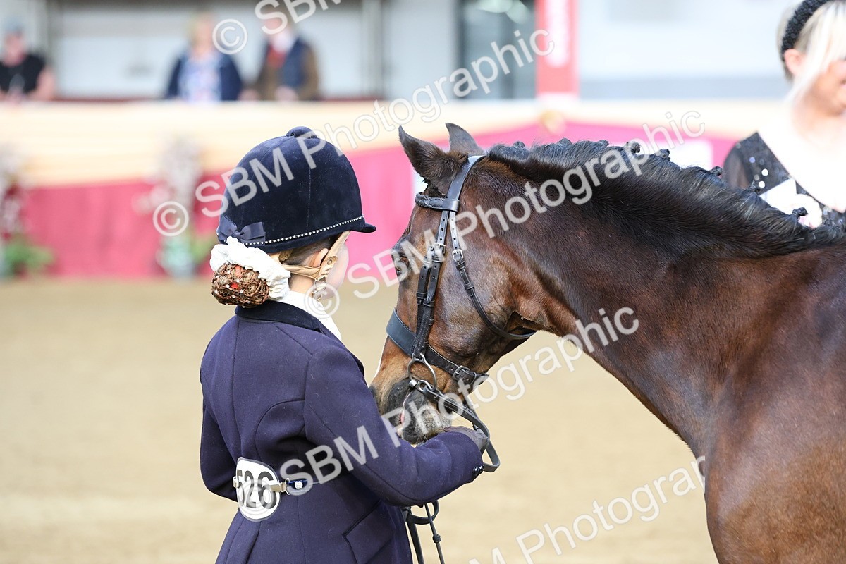 SBM_21879 - Class 901 - Supreme Final - IH  Diamond