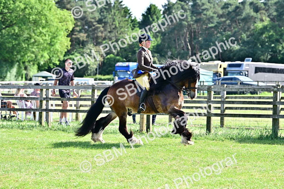 SBM_09454 - Class 63-65 - Traditional Gypsy Cobs In Hand & Ridden