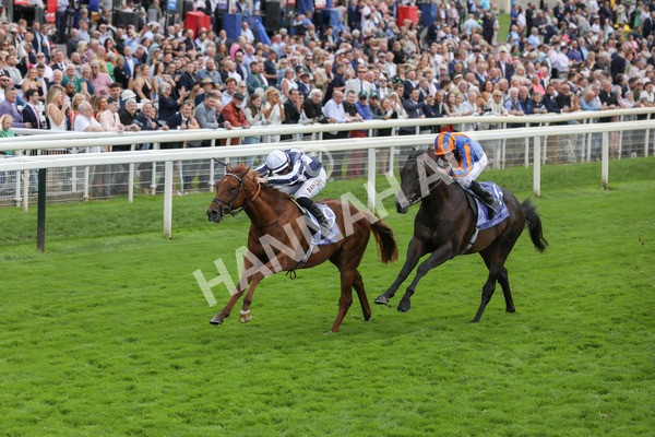 250823-Race 3-Lake Forest-5843 - Race 3 3.00pm Al Basti Equiworld Dubai Gimcrack Stakes