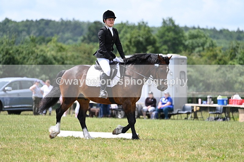 WJ7_5577 - Time 11:52 to 12:10