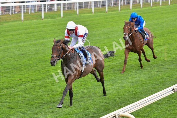 yr17082022r3-36 - Race 3 3.00pm Sky Bet Great Voltigeur Stakes