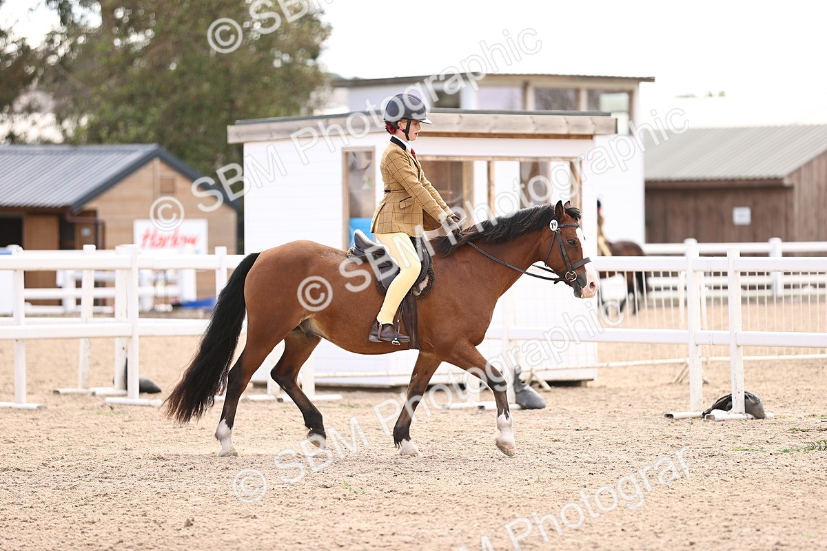 SBM_12827 - Class 409 - Grassroots Ridden - Pony
