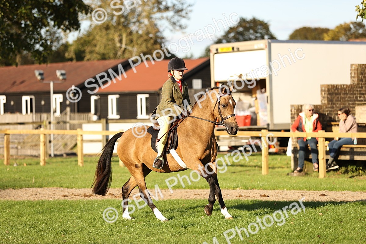SBM_29590 - S7 - Novice & Newcomers Ridden Pony