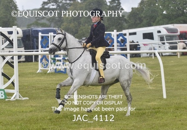 JAC_4112 - 40CM WORKING HUNTER