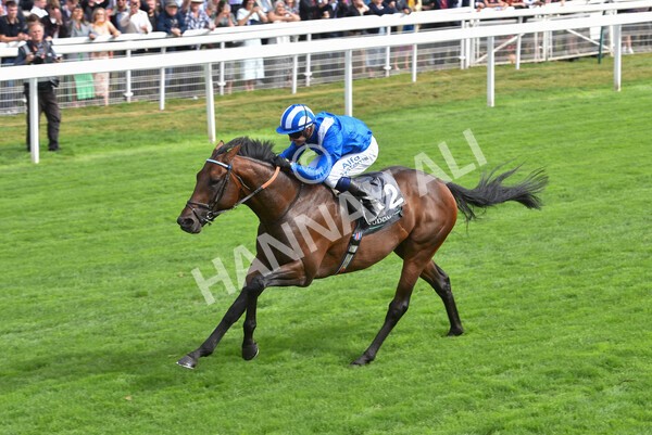 yr17082022r4-85 - Race 4 3.35pm Juddmonte International Stakes (British Champions Series Race)