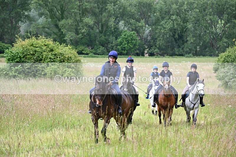 WJ6_7901 - Camera 1 Gallops