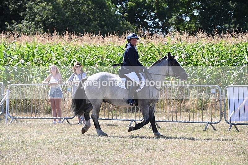WJ6_8910 - Class 38 Ridden Riding Horse/Pony