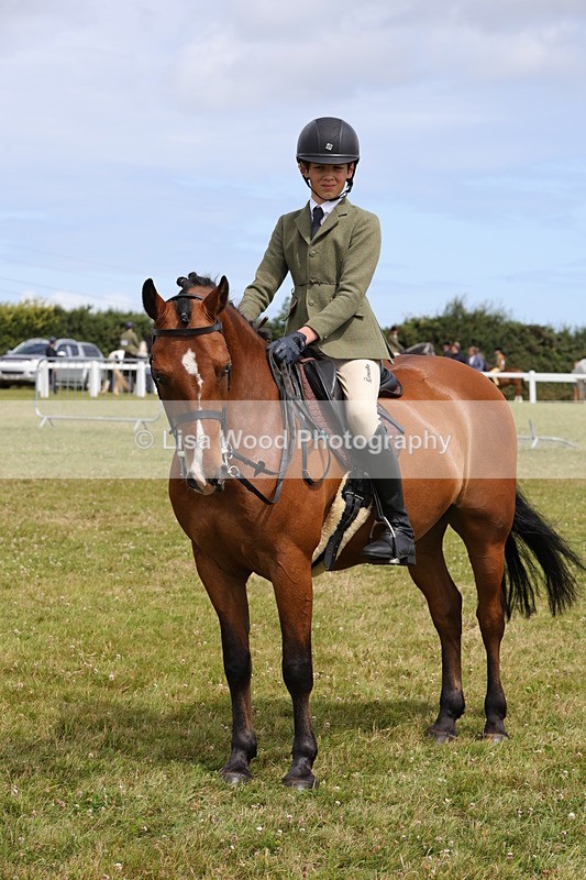 1X9A4044 - Class 32: Show Hunter Pony 153cm and under