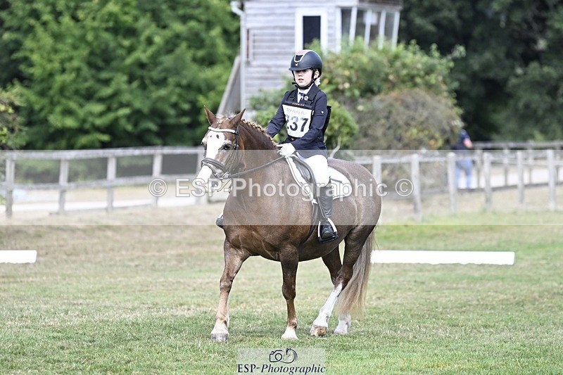 250821A-123350-15590 - DR 11.00 to 12.00