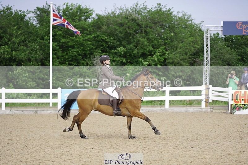 230625A-091046-03100 - Cls 1 Pony Discovery & Open