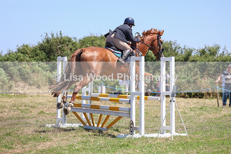 3E7A4428 - Class 10: Senior British Novice/90cm open