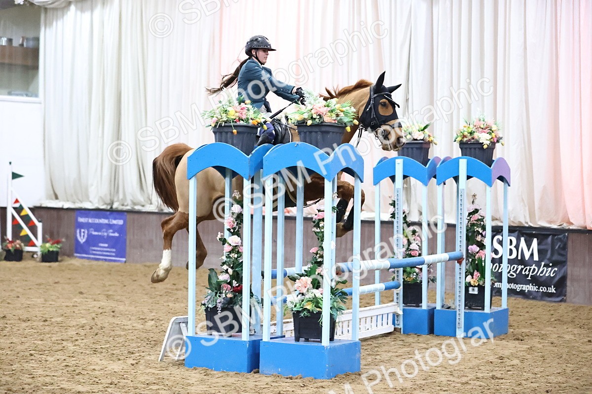 SBM_002098 - Class 8 - Senior British Novice - 90cm