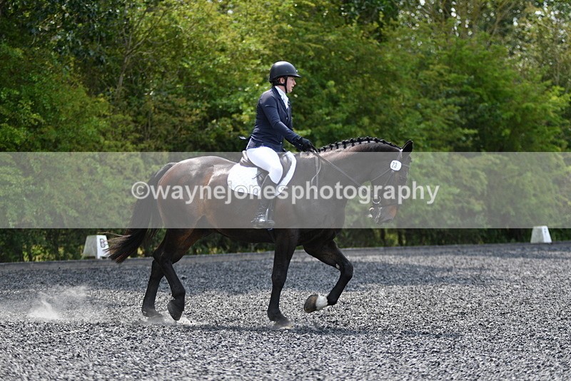 WJ5_0011 - Time 11:47 to 12:21