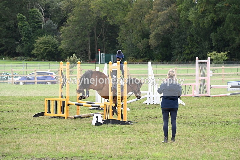 WJ6_1296 - 60cm Time 11:51 to 12:10