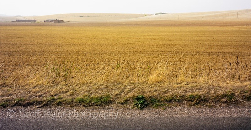 Icknield Farm - A Rural Landscape