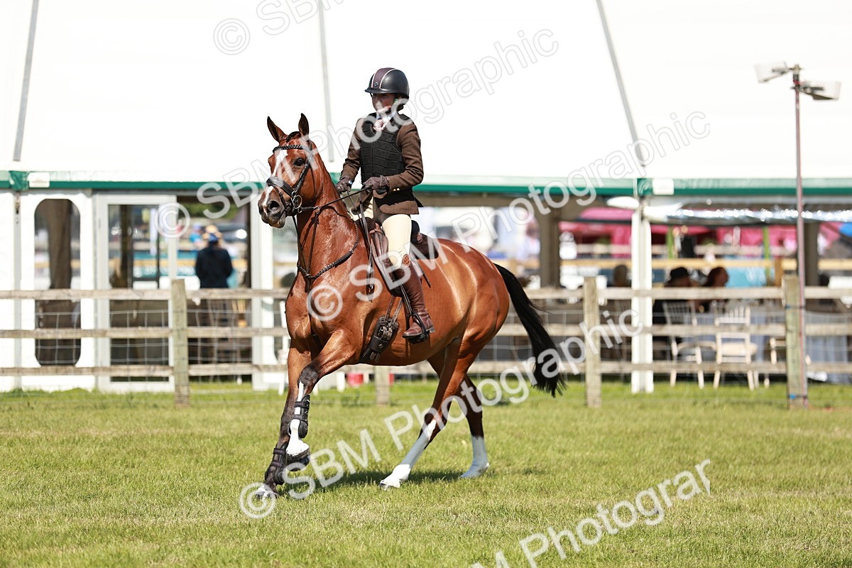 SBM_18326 - Class 112-113 - BSPS LIHS Working Sports Pony