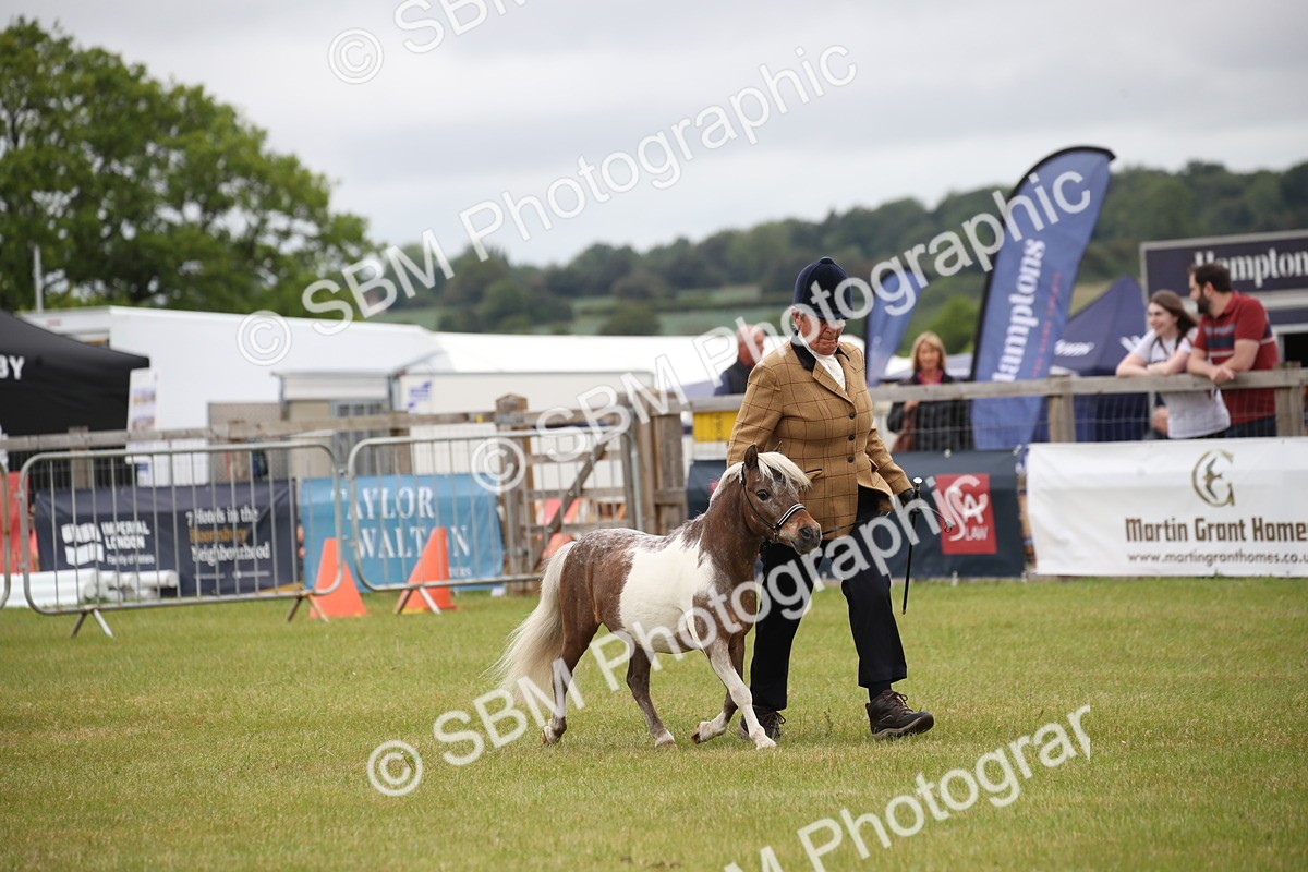 SBM_03736 - Class 23-25 - British Miniature Horse of the Year