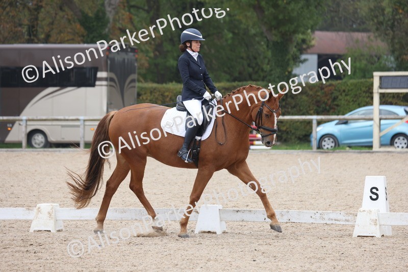 20251012-0656 - Class 5 - Elementary 5