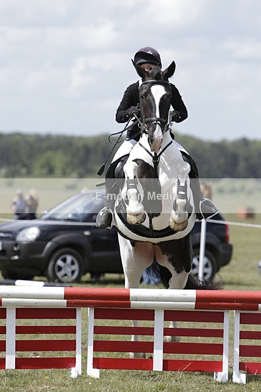 BVHT 140517 N-333 - Class 2 SJ Novice 14/05/17
