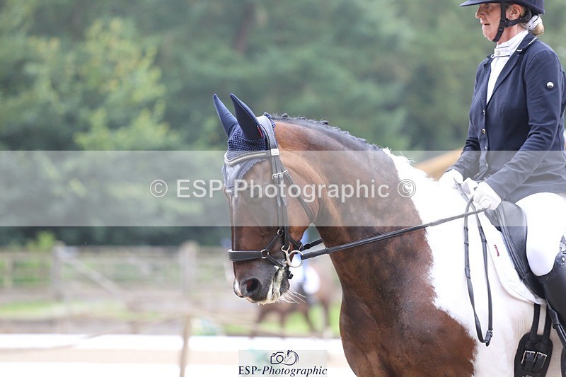 240720-150032-06285 - 124-Sophie_Savage-Two_Tone_Ted