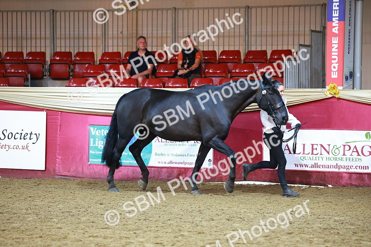 SBM_14806 - Class E - Best Turned Out Champ