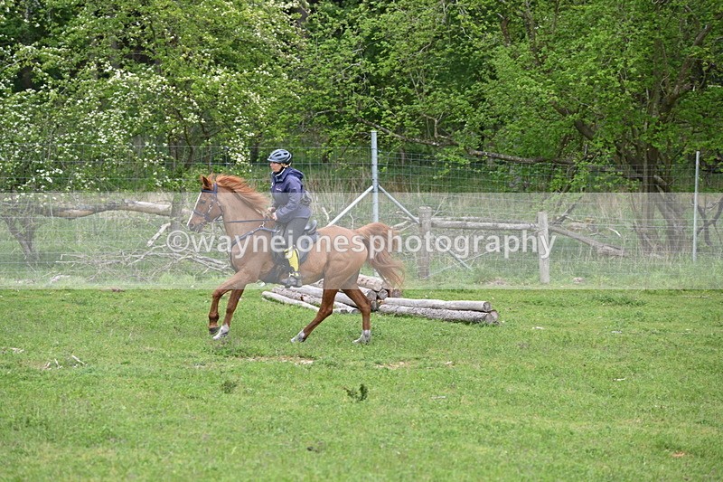 WJ6_3224 - A camera