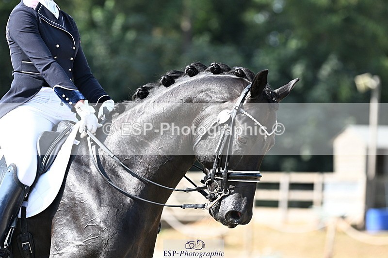 250810A-101008-05044 - 132-Rebecca.CowderoyNights.Dream