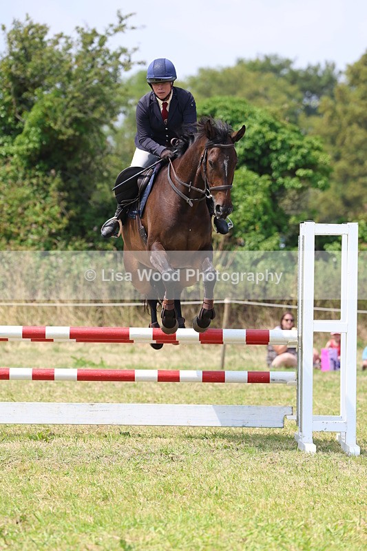 3E7A2964 - Class 7: Senior British Novice/90cm open