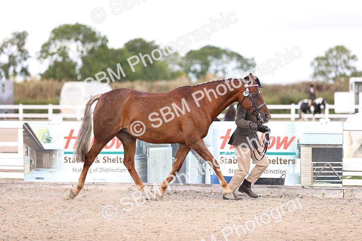 SBM_14453