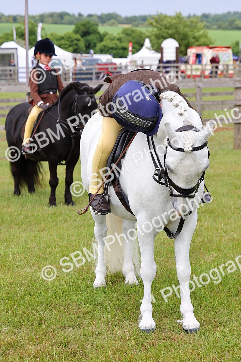 SBM_09632 - Class 44-45 - LIHS BSPS Open Nursery and Cradle Stakes
