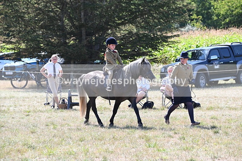 WJ6_7952 - Class 36 Lead Rein