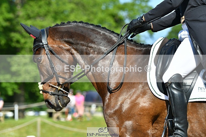 230525-092450-03737 - 405-MATTERHORN_RISING-Arthur_Duffort-DR
