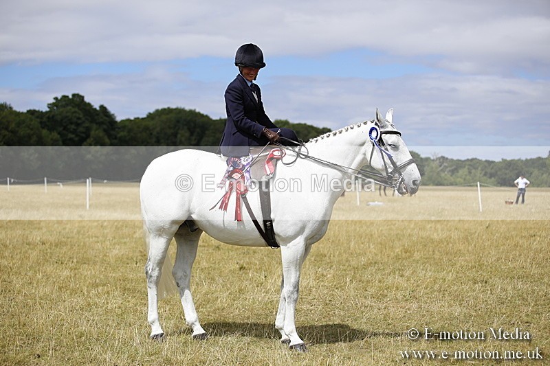 _C7A0308 - Side Saddle Classes BVRC Show 2018