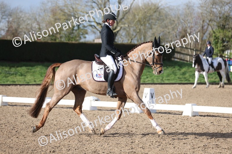 20260128-0481 - Class 4 - Novice 5