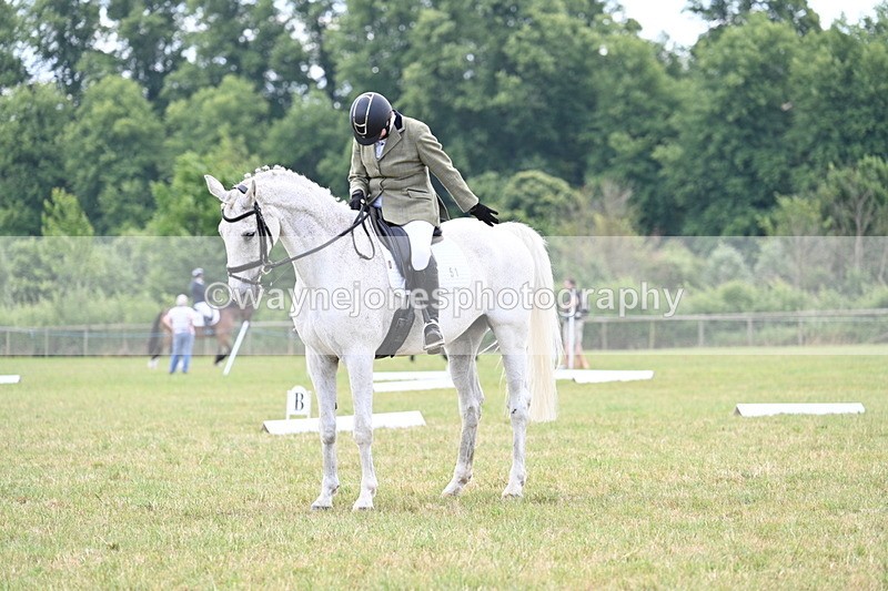 WJ7_5203 - Time 11:22 to 11:51